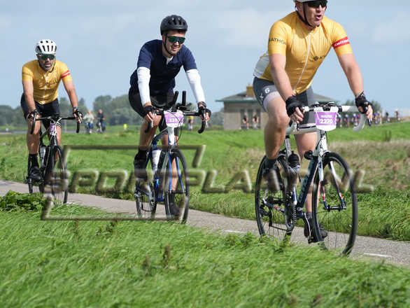 D2685.jpg